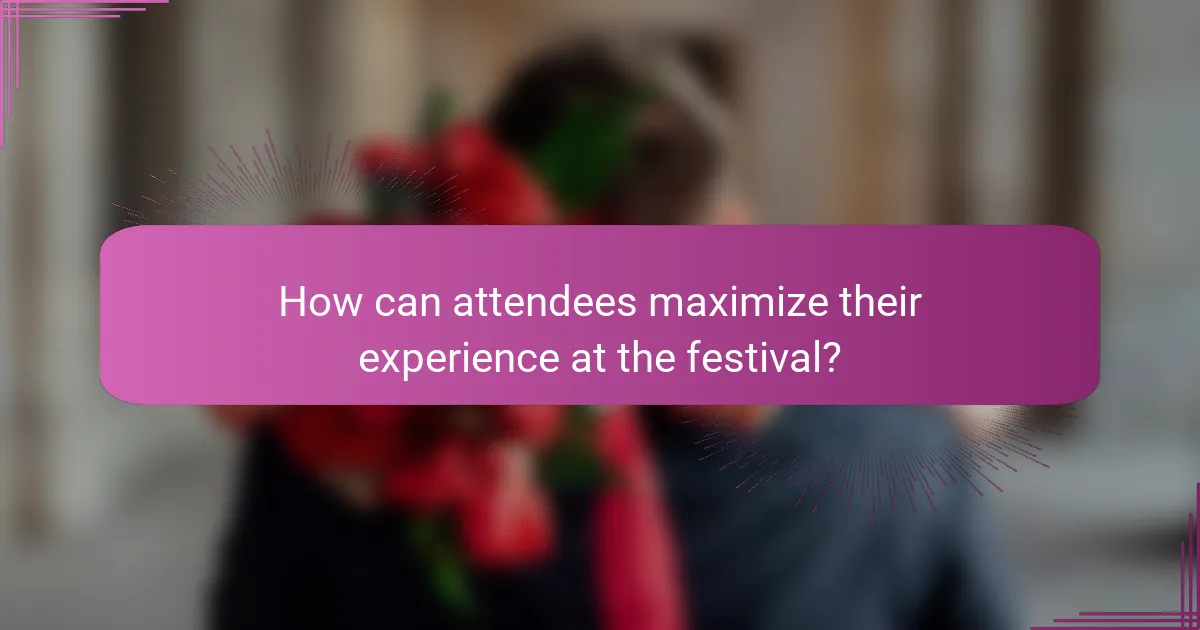 How can attendees maximize their experience at the festival?