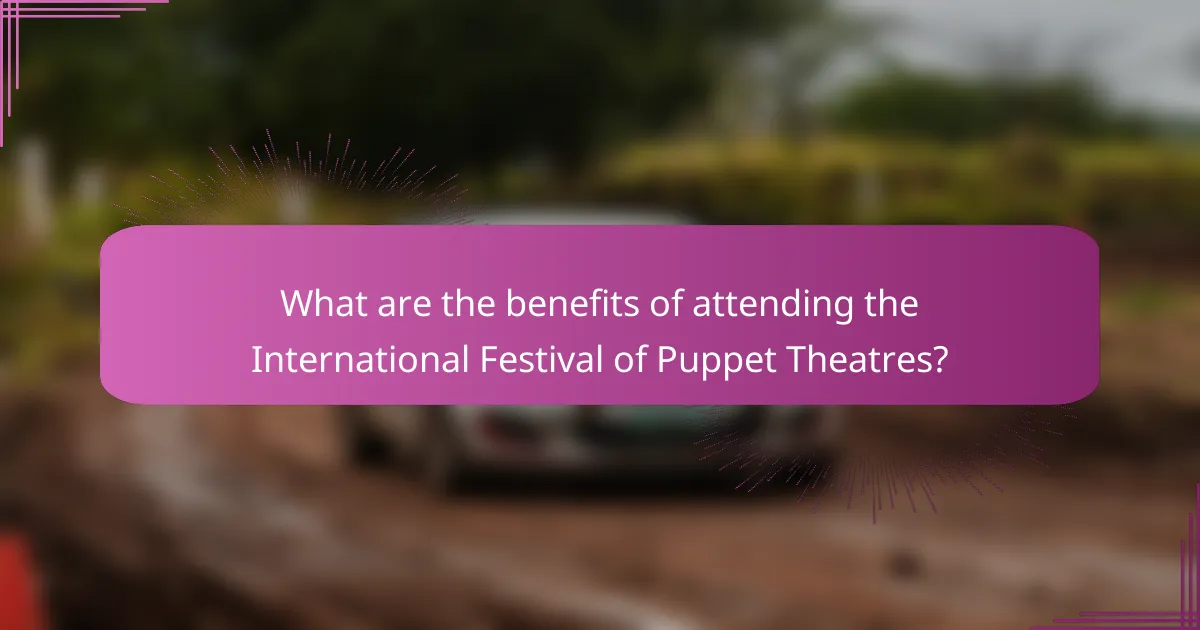 What are the benefits of attending the International Festival of Puppet Theatres?