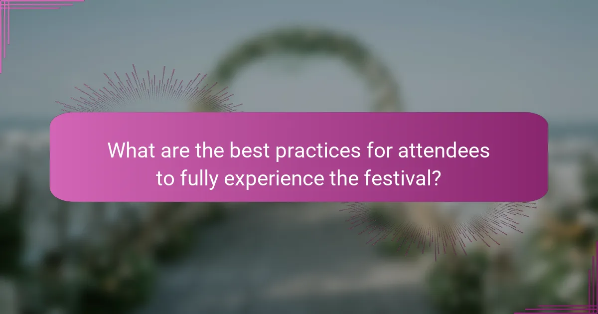 What are the best practices for attendees to fully experience the festival?