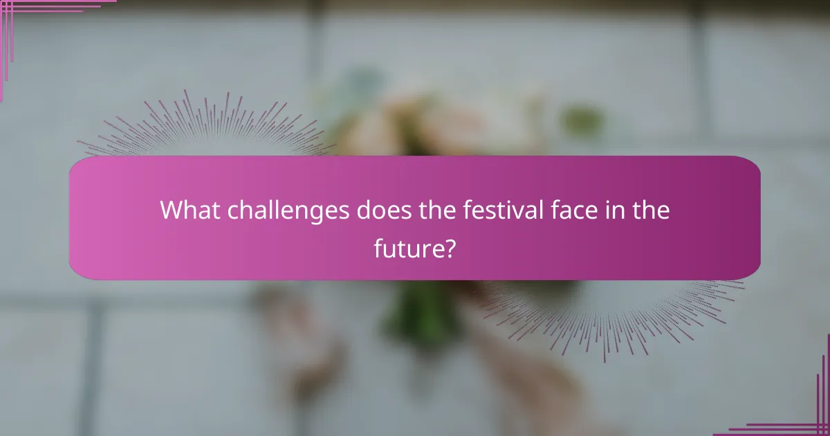 What challenges does the festival face in the future?