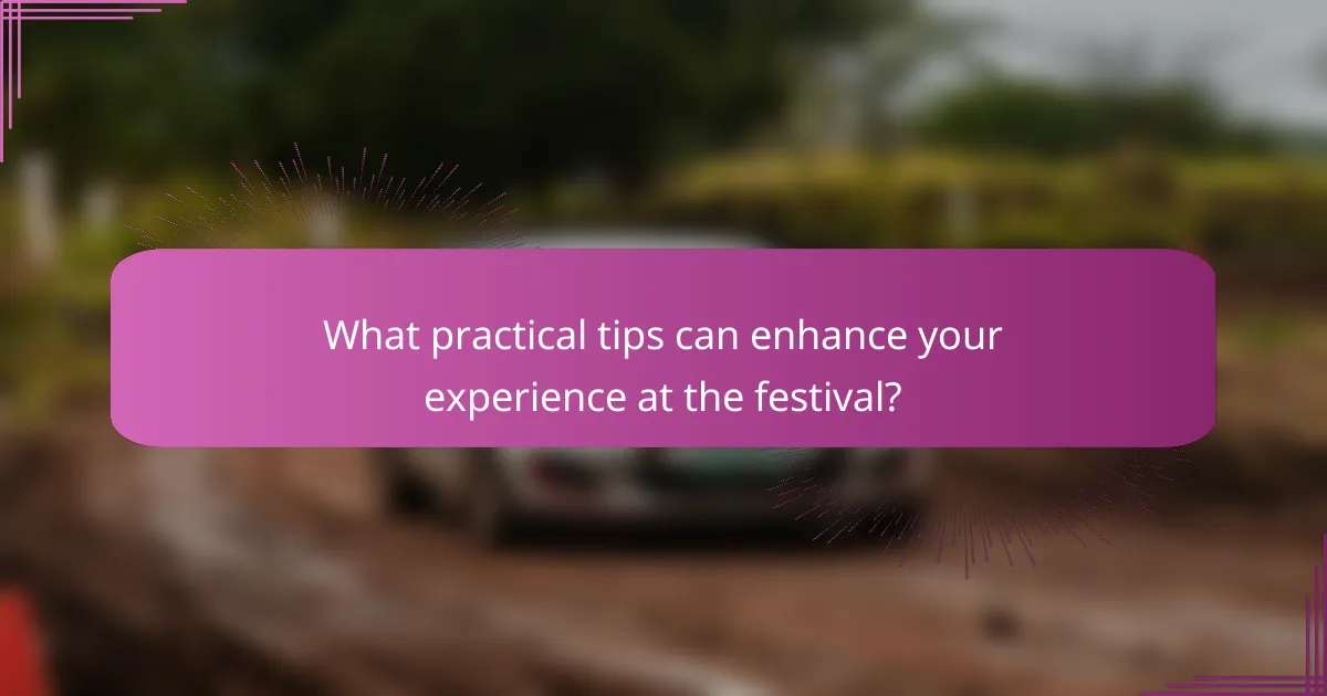 What practical tips can enhance your experience at the festival?