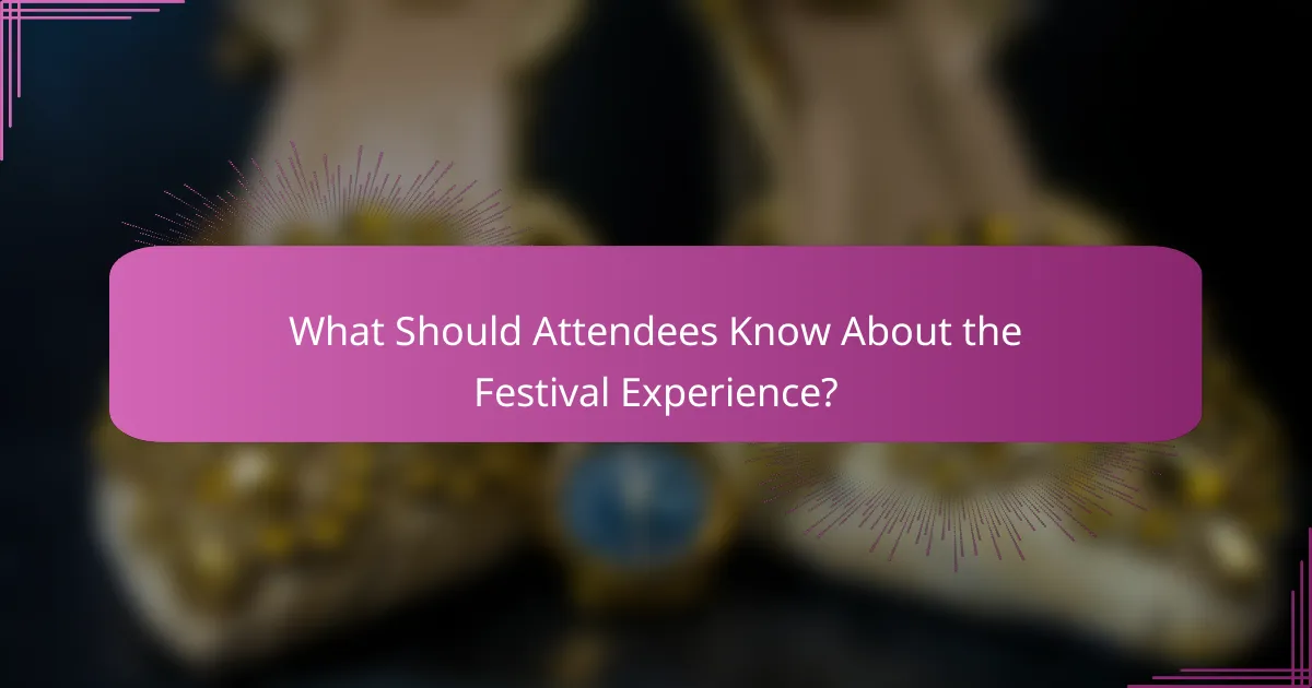 What Should Attendees Know About the Festival Experience?